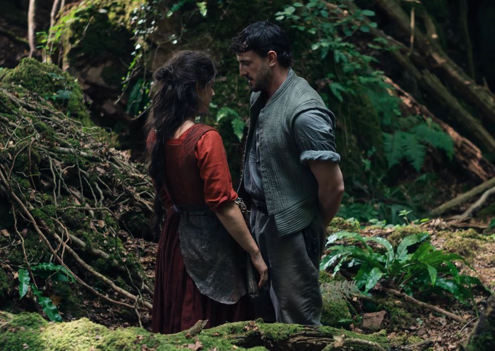 Il dolore degli altri