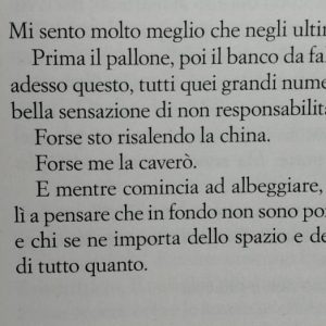 Erlend Loe, Naif.Super